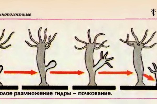 Кракен ссылка онлайн